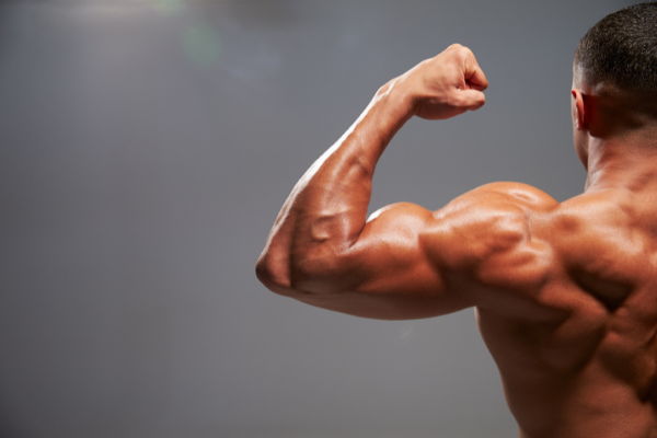 Hammer Curls: Benefits And Proper Technique To Build Muscle 1 Untitled-design-55